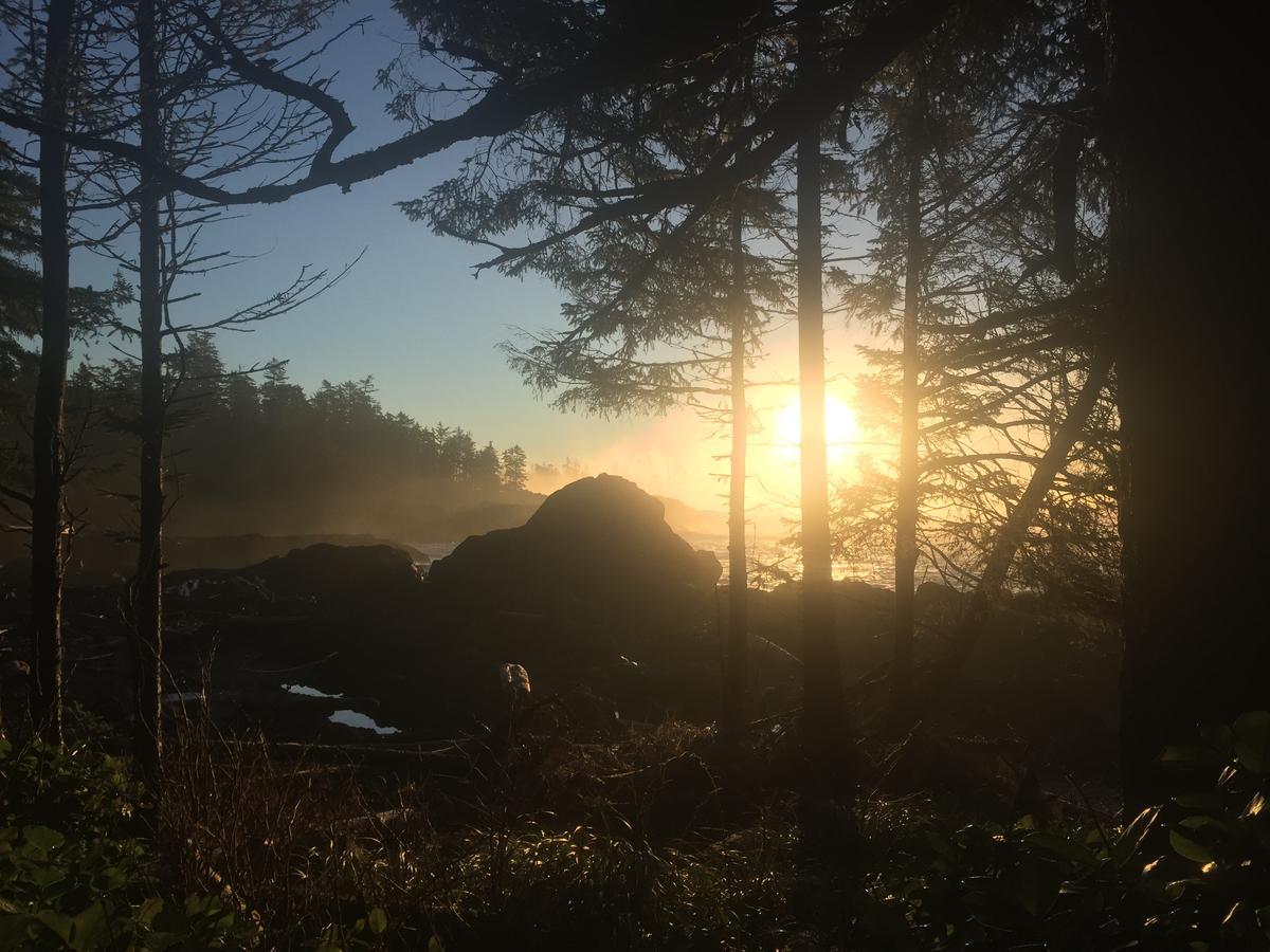 The Francis Boutique Inn Ucluelet Bagian luar foto